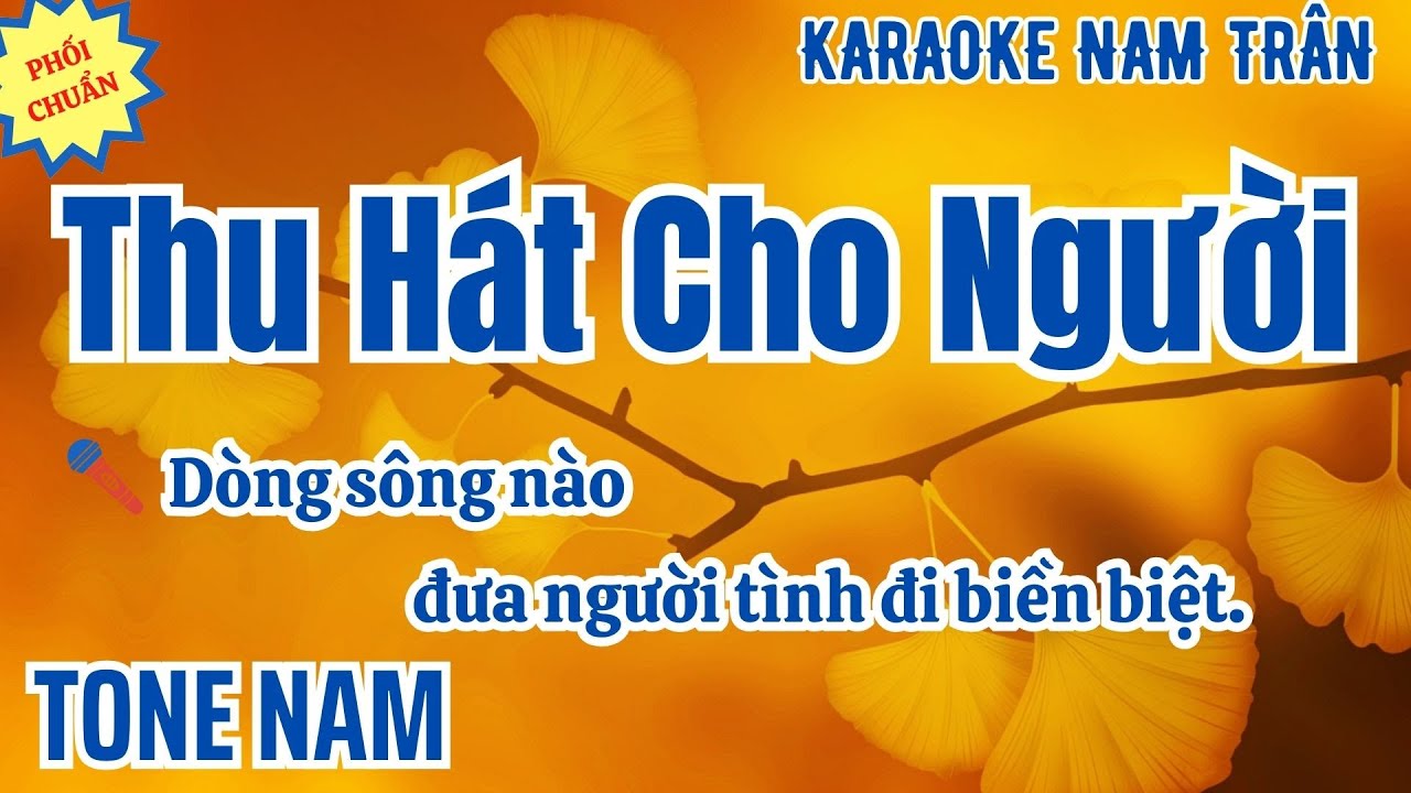 Karaoke Thu Hát Cho Người (Phối Chuẩn 2025) Tone Nam | Nam Trân