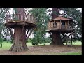 100 INCREIBLES Y HERMOSOS DISEÑOS DE CASAS EN EL ARBOL 2018