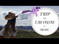 Лас Вегас - Съвети от Моето Пътуване/Ася Енева/Las Vegas Trip/Asya Eneva