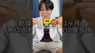 乾燥したイカ1ヶ月水に入れると生イカに戻る説 #検証 #やすこうぴ #やってんやん #生イカ#
