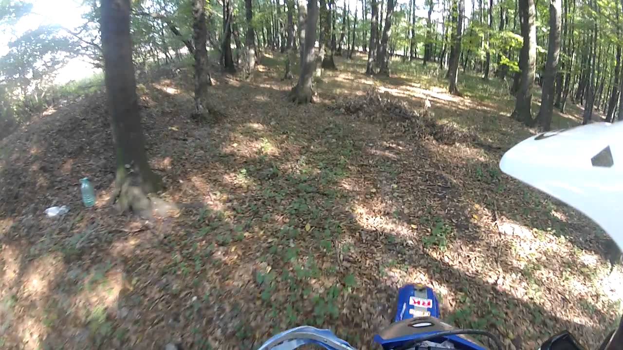 Plimbare padure camera iphone 8 plus apk