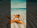 Whale S Undersea Dance Starfish Crab S Sandy Adventure Whale S Undersea Dance Starfish Crab S Sandy Adventure
