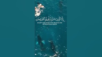تلاوة خاشعة لسورة التين| بصوت الشيخ ماهر المعيقلي #اكسبلور #راحة_نفسية