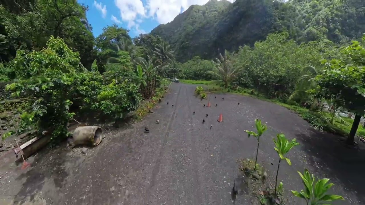 🌺 Tahiti autentica: danze, cascate e foresta nel Giro del Mondo 2024