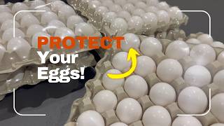 Seal and Protect Your Eggs! with the VSA1825 and VST1710