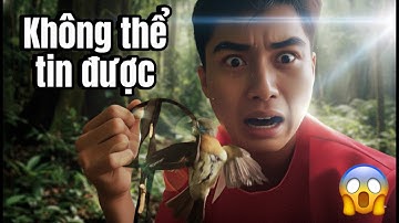 "KHÔNG THỂ TIN ĐƯỢC! BẪY CHUỘT LẠI BẮT ĐƯỢC CHIM TRONG RỪNG?"