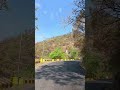 aaj kahna jaroori hai#nature #song #youtubeshorts
