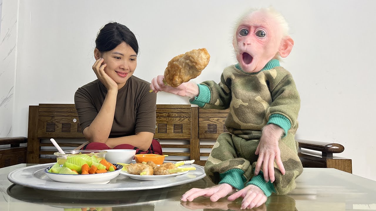 Monkey Xuzi Helps Mom enjoy first meal in the new home — Such a sweet new beginning!