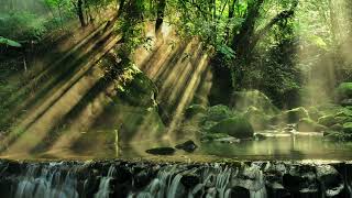 Centering Meditation | Harmonic Alignment | Find Inner Peace in 12 Minutes - Relaxing Meditation