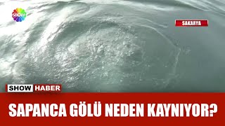 Sapanca Gölünde Esrarengiz Olay