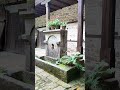 11 юни 2026 г.Трявна