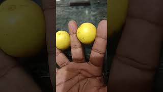 😉 new trick 😉 po po song#ajay devgan #mrunal thakur#guru randhawa#viral #youtube shorts #tranding