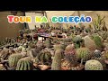 Tour na coleção. #jardimdecactos #plantas #cactus 