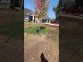 Sprinkler Install Complete!