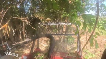 Mulberry Farm Forestry Mulcher Fencelines