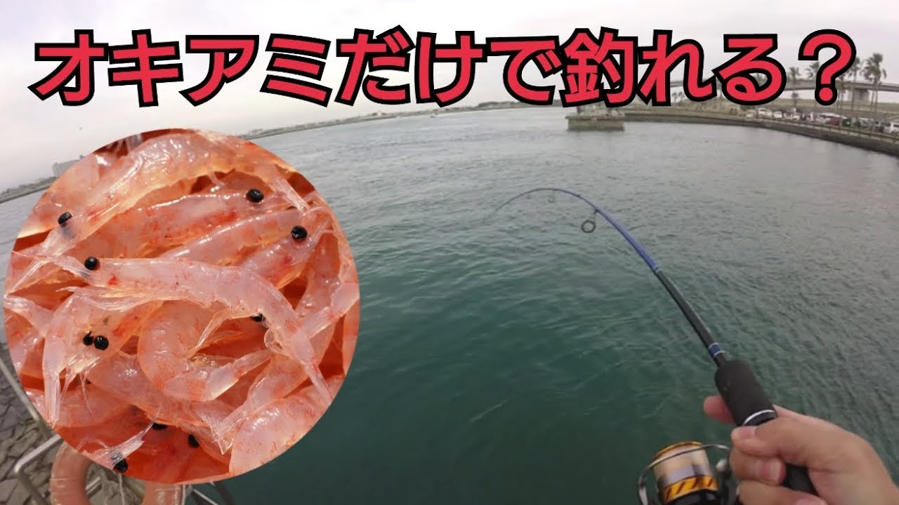 チヌ釣りを付けエサ オキアミ だけでやってみた結果 Youtube