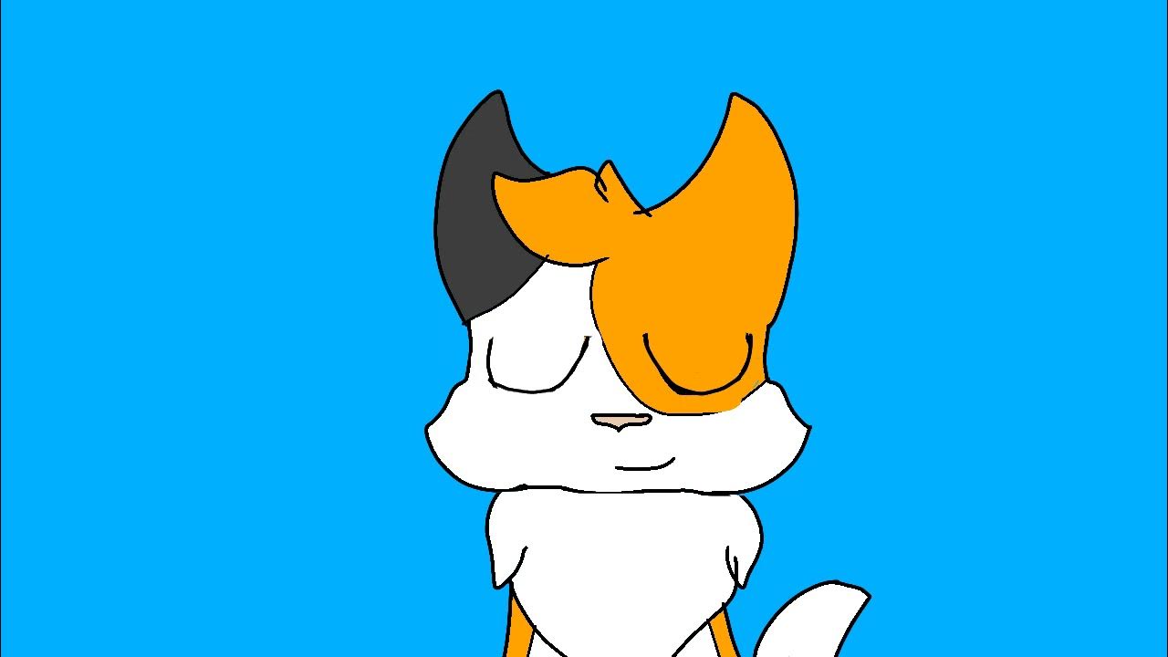 Wonder animation. Wonder animation. Wonder animation. Wonder animation. Мультфильм парк чудес джун.