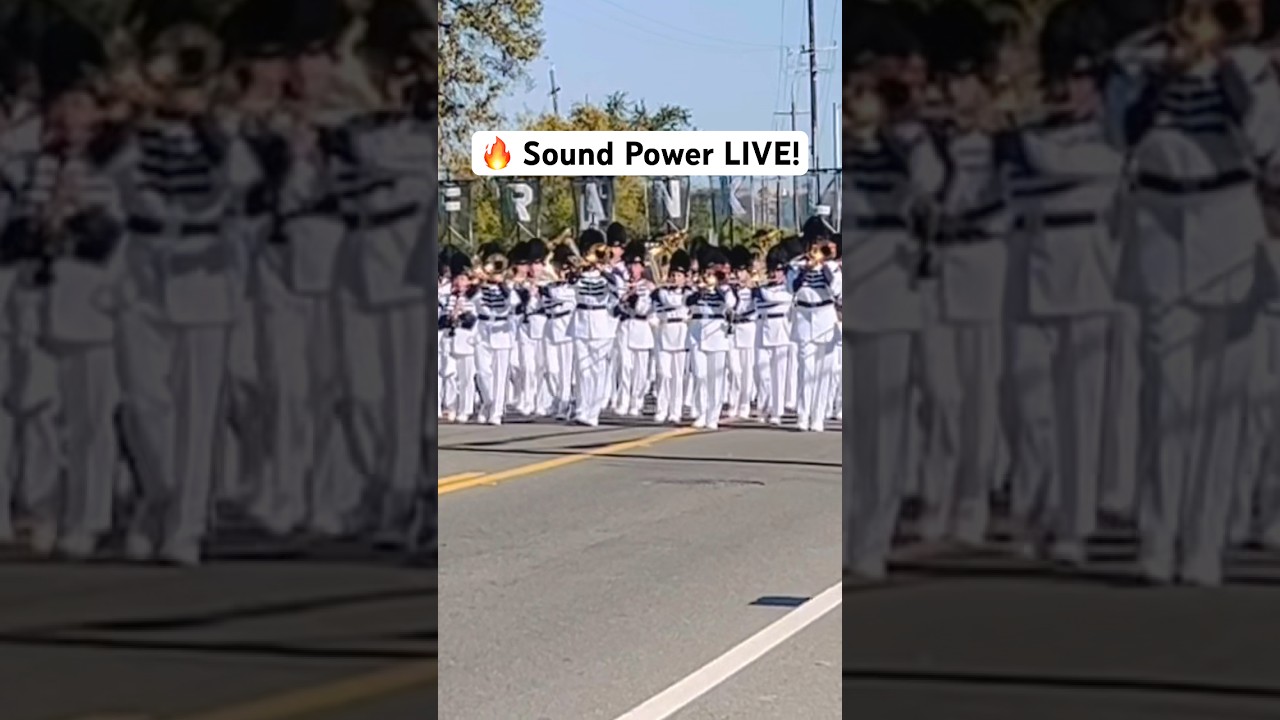 Franklin High Wildcats 🔥 Perfect Unison + Powerful Beats = Sound Power!