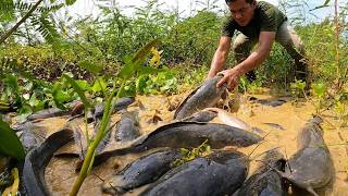 Amazing Fishing Adventure in the Swamp Giant Catfish Trap Success!