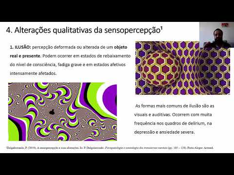 Vídeo: Em suas próprias palavras, o que é falsificável cerebralmente?