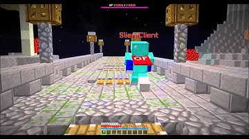 Slientclient Chao logging