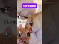 TOP 5 CATS PT.5 #ranked #cat #ranking #cute #subscribe #cats #catshorts #rankpush #pets #funny