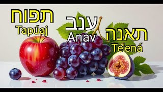Aprende los Nombres de las Frutas en HEBREO 