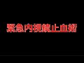 【⑨緊急消化器内視鏡看護】緊急上部消化管処置