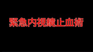 【⑨緊急消化器内視鏡看護】緊急上部消化管処置