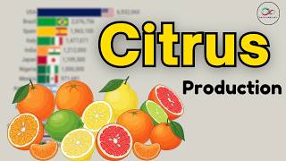 Citrus Production Comparison Usa Vs Brazil Vs China