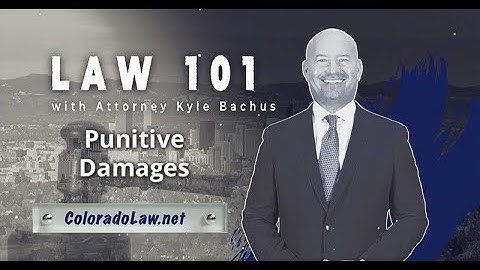 Punitive Damages - Law 101 - Bachus & Schanker