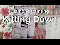 Diamond Painting Kitting Down Leftover Drills