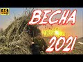 Утиные истории #4. Весна. Открытие 2021.