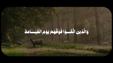 زُيِّنَ لِلَّذِينَ كَفَرُوا الْحَيَاةُ الدُّنْيَا سورة البقرة - الشيخ المنشاوي