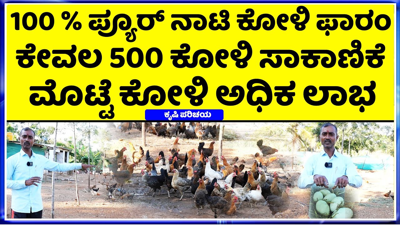 ಗ್ಯಾರಂಟಿ  ಆರೋಗ್ಯ ದೃಷ್ಟಿಯಿಂದ  ತನ್ನ ಸುತ್ತಮುತ್ತಲ ಜನರಿಗೆ || pur nati koli