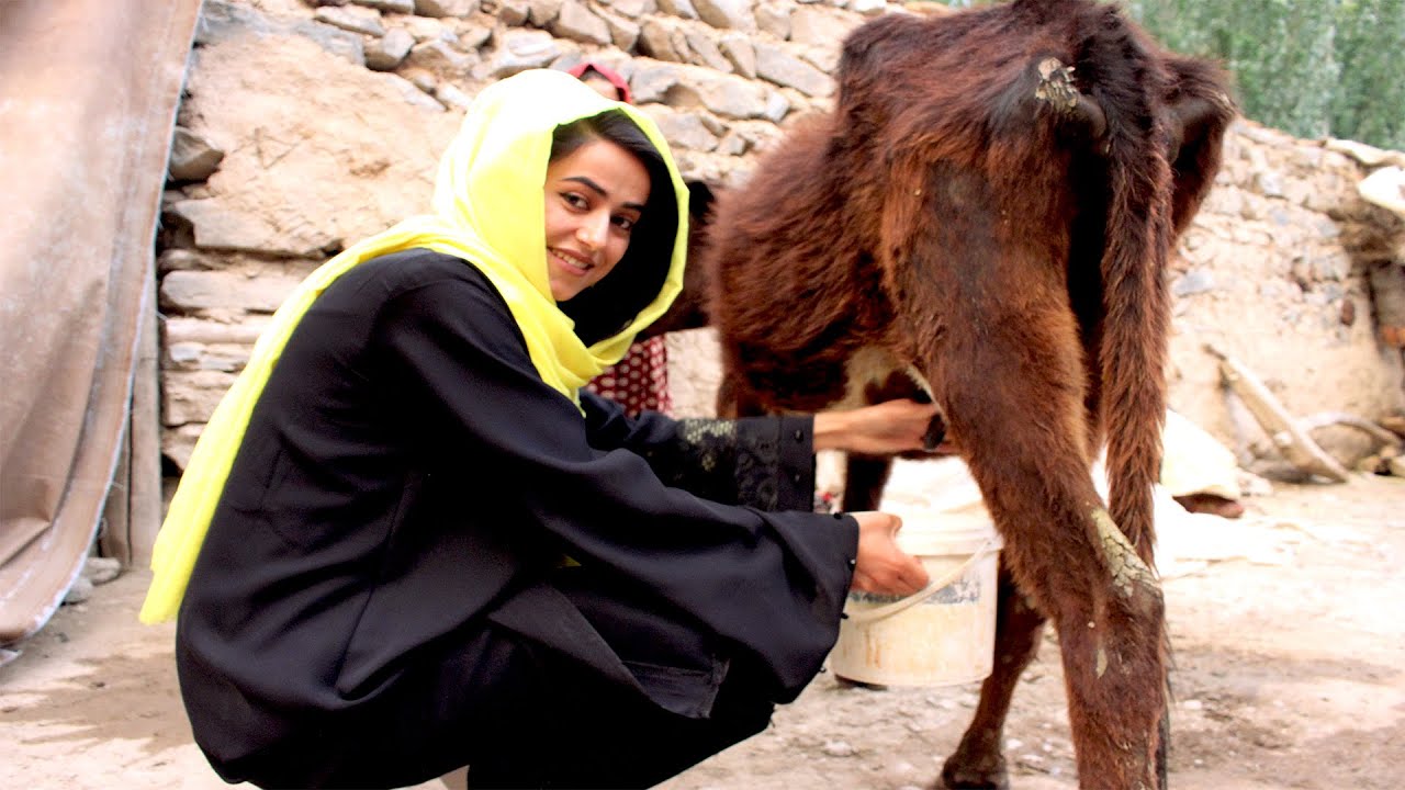 معرفی دهکده ایتار چی بدخشان و گاو دوشی شبانه - Badakhshan plus