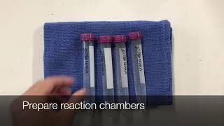 AP Biology: Yeast Fermentation Lab Setup