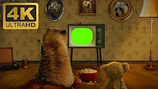 Cartoon Bears Watch TV - Green Screen Footage Free 4K