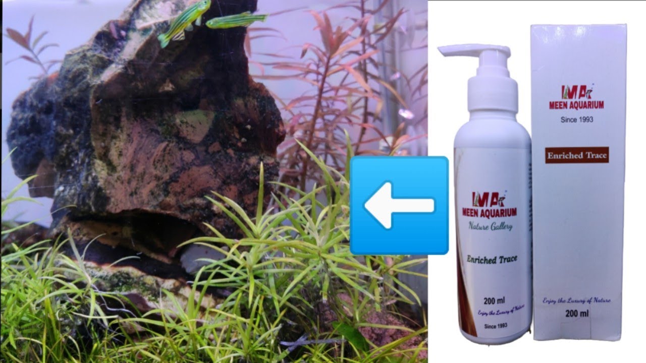 planted-aquarium-fertilizer-meen-aqua-enriched-trace-fertilizer-best