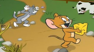 TOM AND JERRY in Cheese Chasing Maze - New English Full Game 2014 - Tom and Jerry screenshot 4