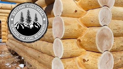 Saddle Notch demo; Log Cabin Building. #bclogschool #logbuildingcourses #logbuildingtutorials