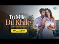 Tu Mile Dil Khile Stebin Ben Asees Kaur Larrissa Bonesi Lijo G Dj Chetas Full Audio mp3