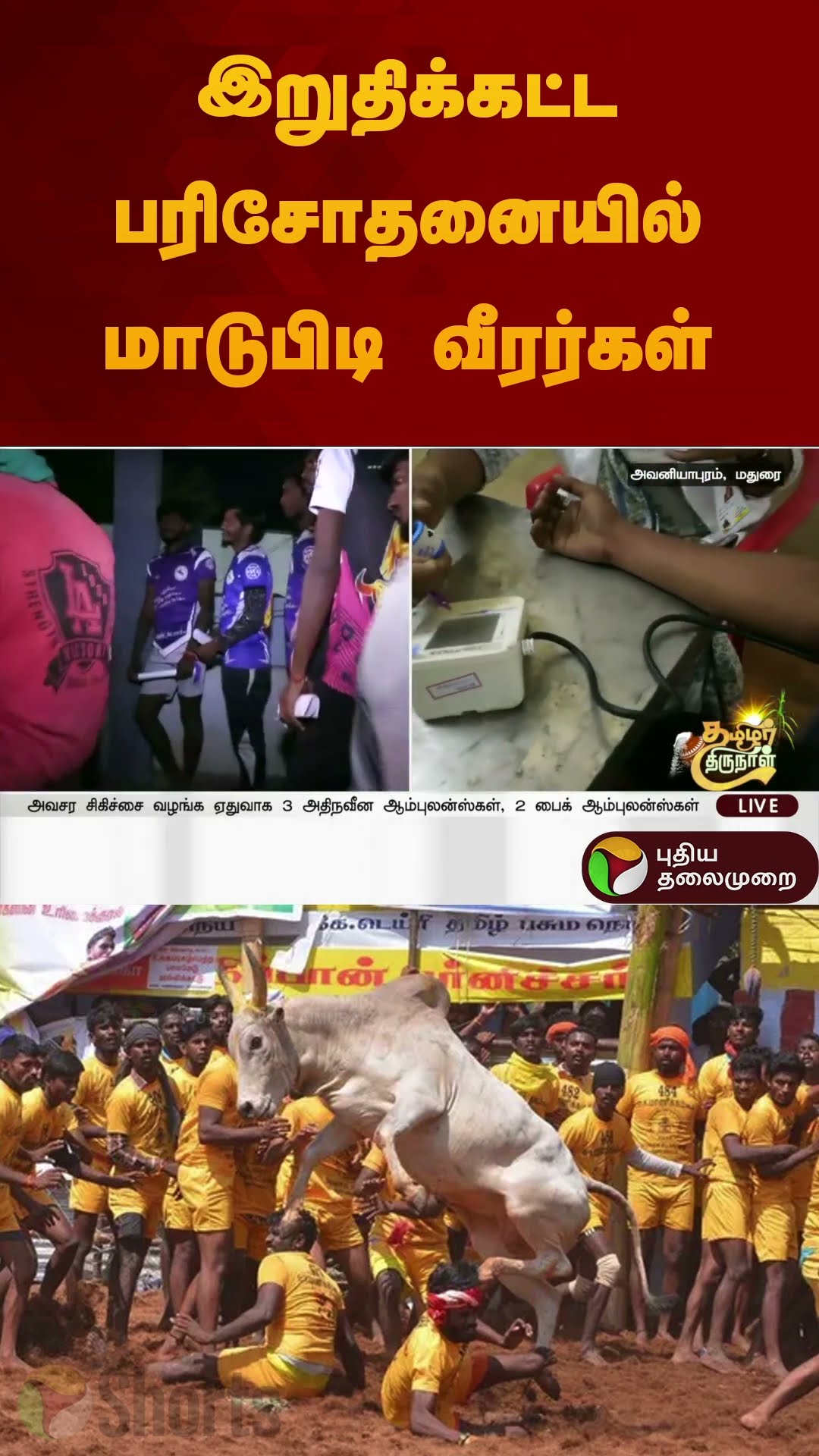 இறுதிக்கட்ட பரிசோதனையில் மாடுபிடி வீரர்கள் | jallikattu | madurai | #shorts
