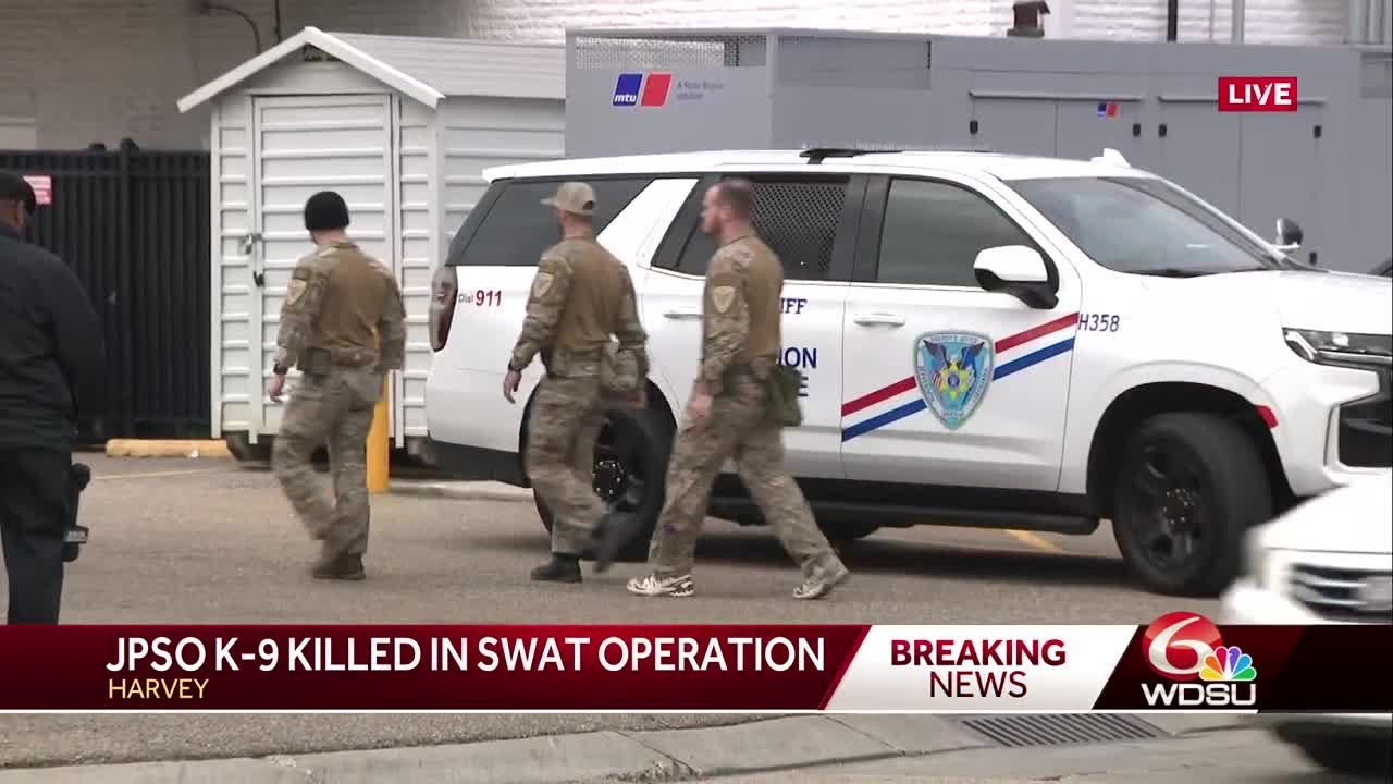 JPSO K9 killed in the line of duty - YouTube