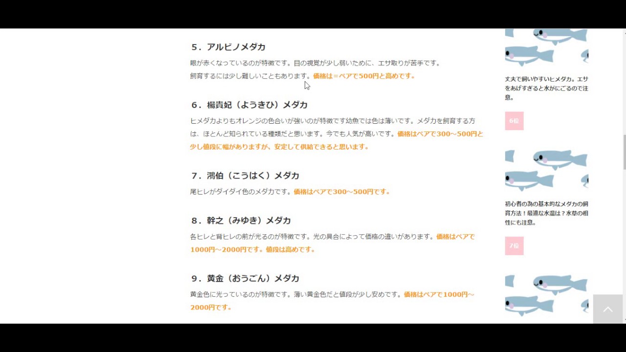 メダカの種類と販売価格 メダカにはどんな種類がいる Youtube メダカの種類と販売価格 メダカにはどんな種類がいる Youtube