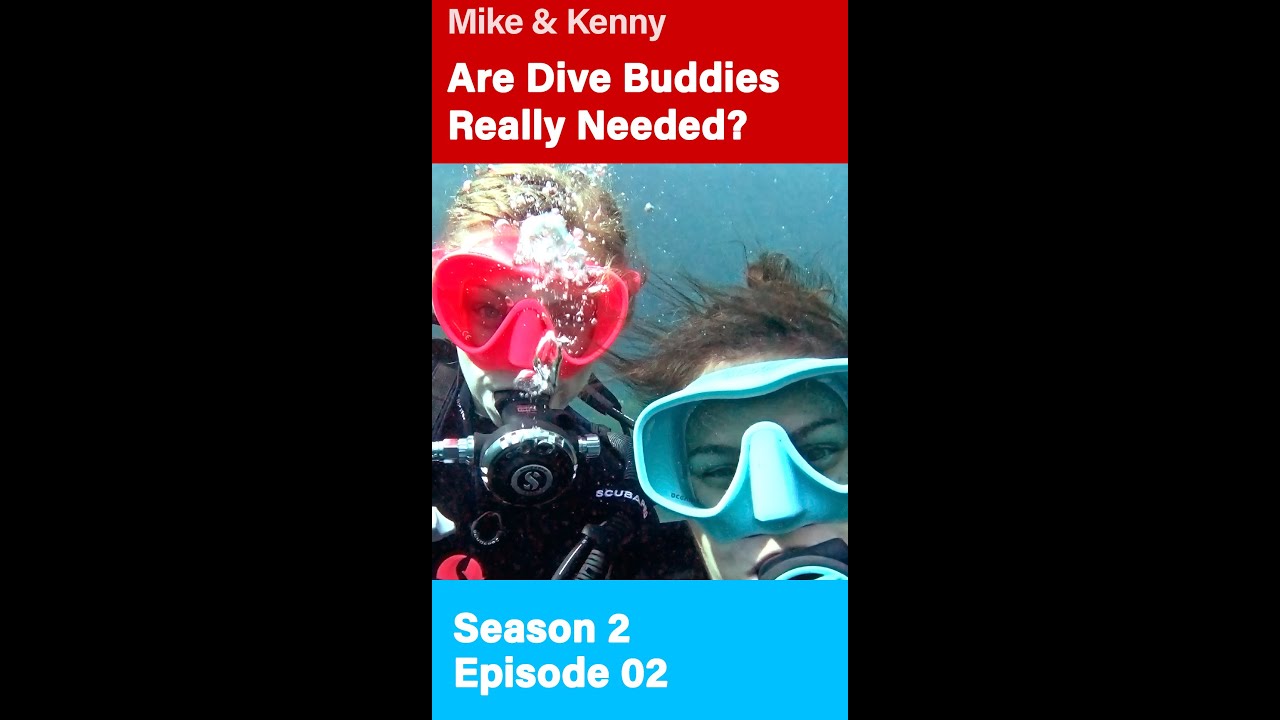 S2E2 Dive Buddies Do we really need them? YouTube S2E2 Dive Buddies Do we really need them? YouTube