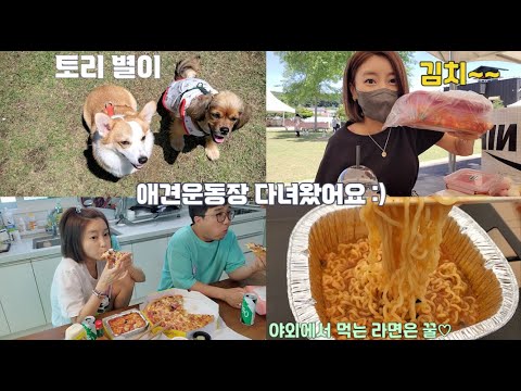 토리 별이 애견운동장 가는날🐶VLOG 집사들은 계속 먹어요🍕🍜🍉🍡🍝도그맥스
