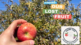 Finding Lost Fruit
