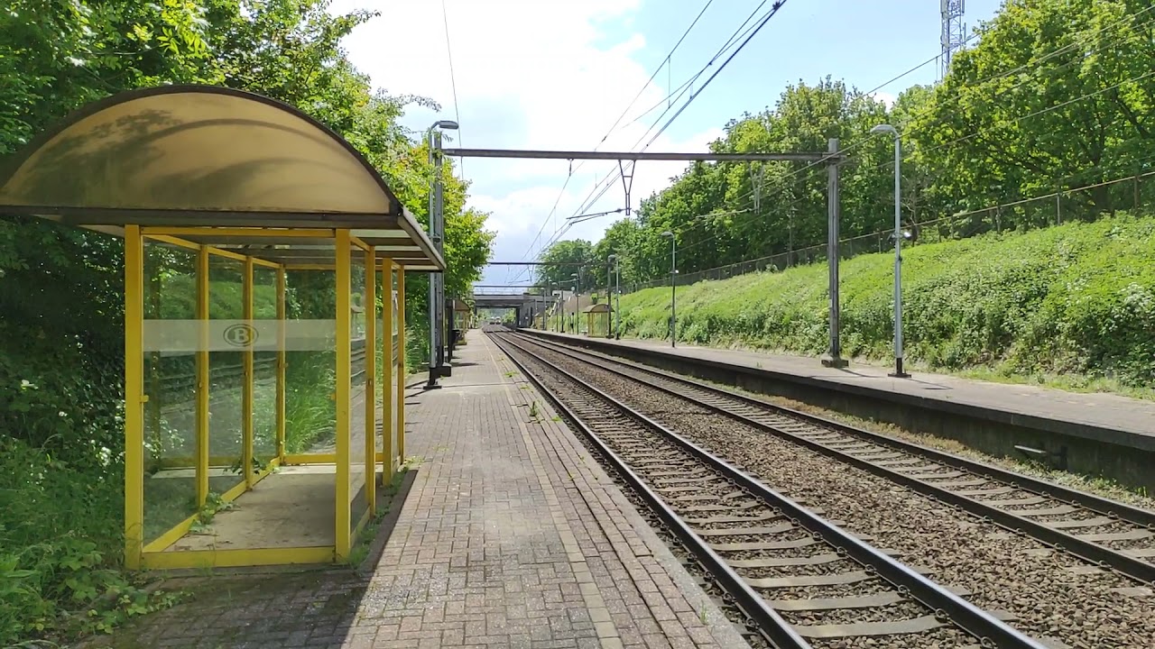 2 HORNS AT MORTSEL-DEURNESTEENWEG STATION!!!