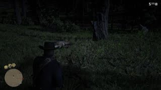 Red Dead Redemption 2 - Cougar head shot